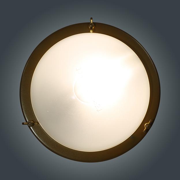 Светильник НББ-03-60-003 (Терма 3) IP65 золото фото 5