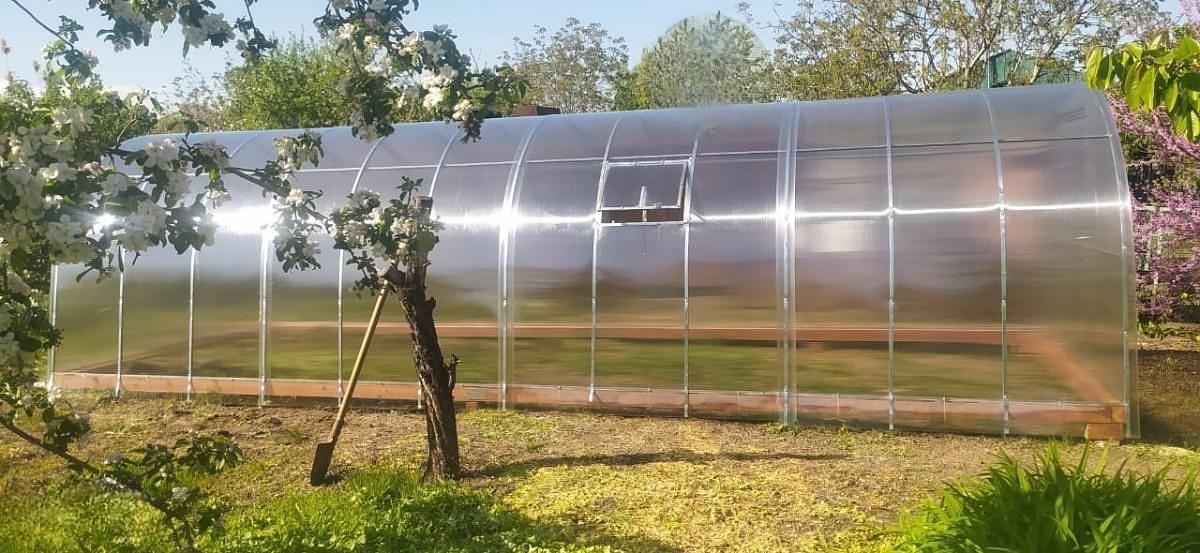 Арочная теплица «Дачная» ОПТ фото 5