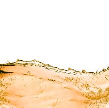 Дезинфицирующее средство Дезаримакс (опт) фото 1