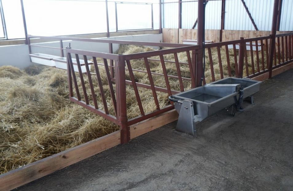 Услуга строительства современных телятников фото 3