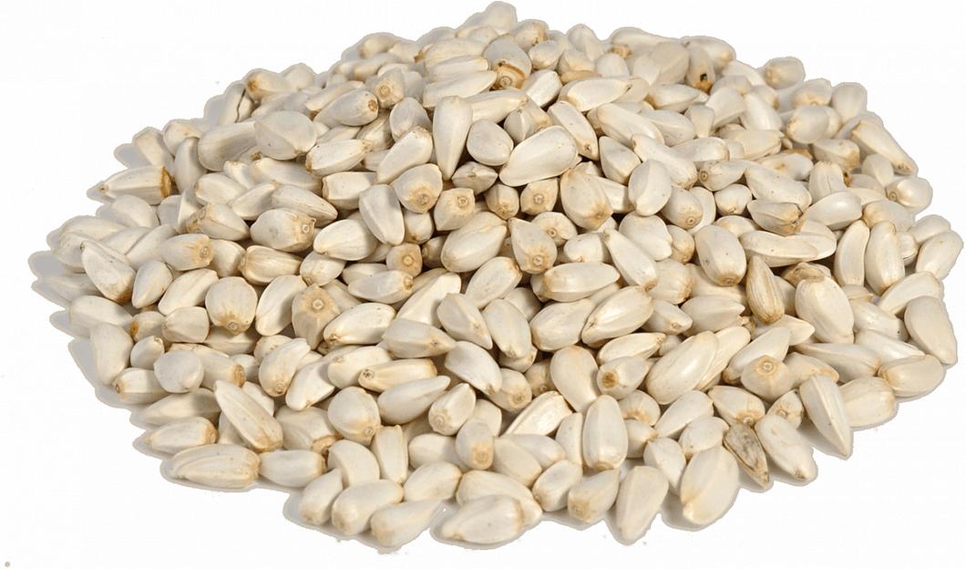 Зерно софлора фото 1