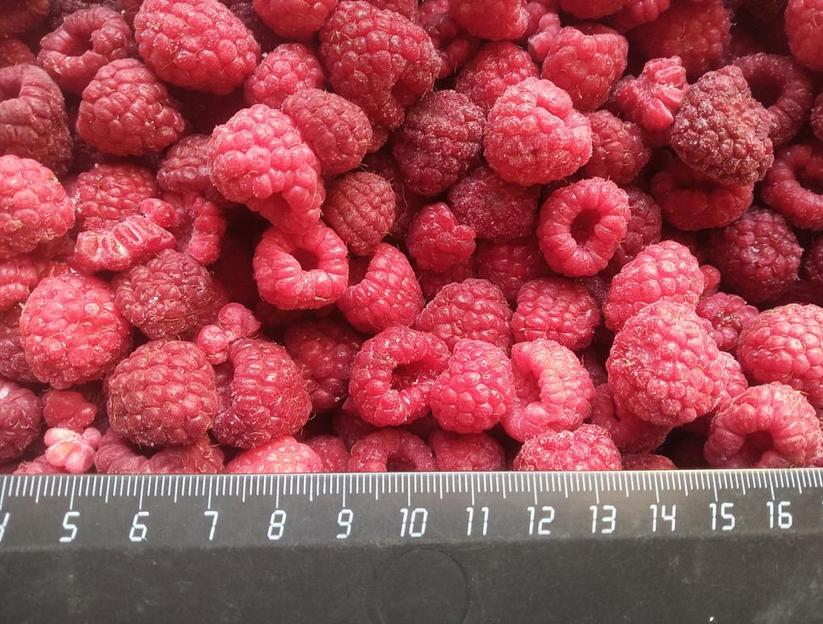 Малина класс экстра замороженная опт фото 1