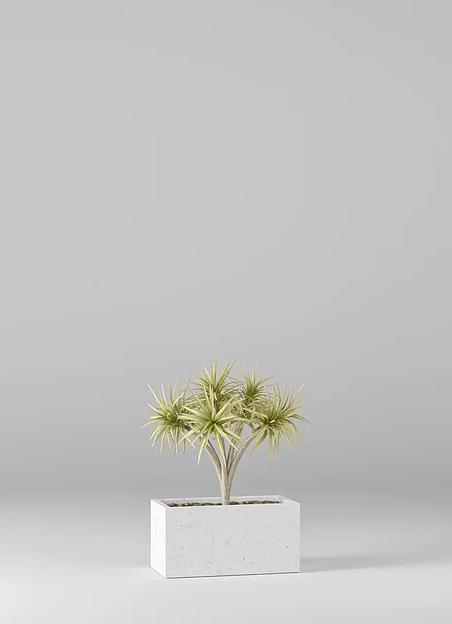 Цветочный вазон СтаркБет «Пилея малая» 9 л ОПТ фото 4