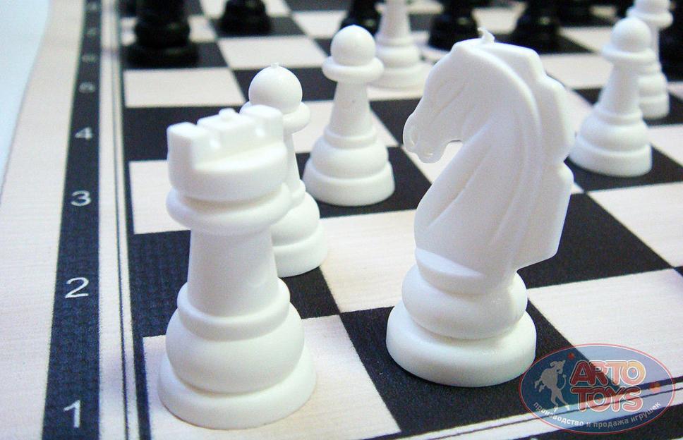 Шашки и шахматы 2в1 в тубусе ОПТ фото 5