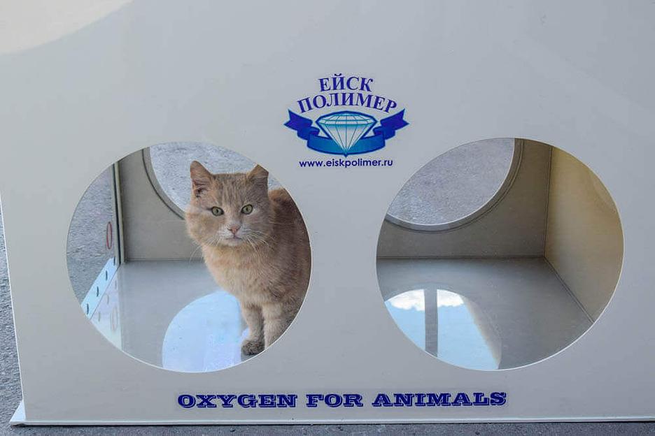 Кислородные камеры для животных фото 5
