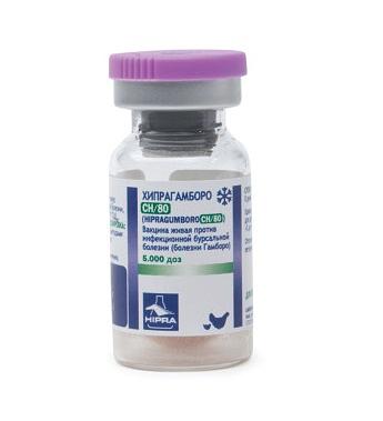 Вакцина для птиц Хипрагамборо-CH/80 5000д х 10 ОПТ фото 1