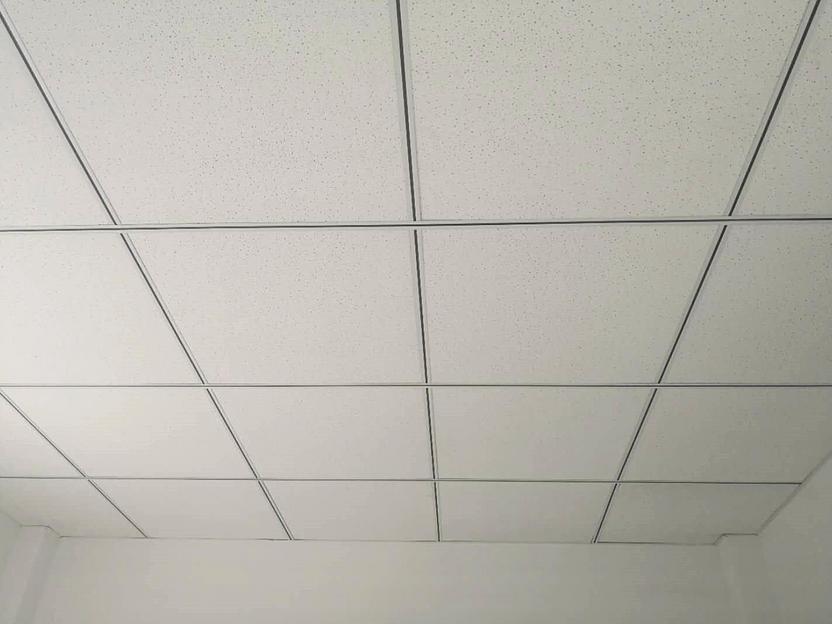 Потолочная плита «YuanYang WeiL» ОПТ фото 1