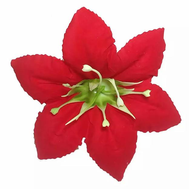 Головка клематиса барх. Шарлин 1сл 15см 467-261-242 1/30 фото 1