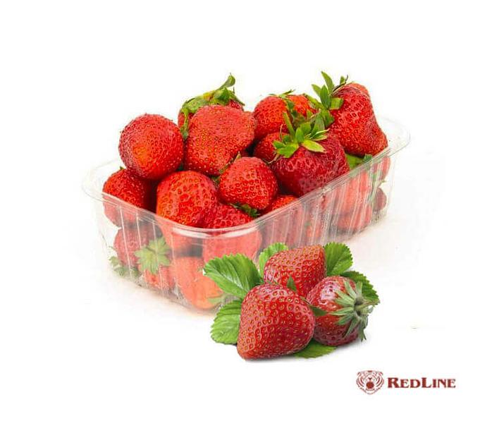 Контейнер без крышки RedLine прозрачный, 500 г ОПТ фото 1