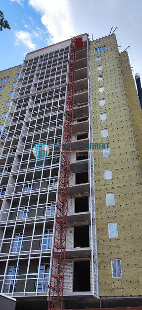 Подъёмник мачтовый ПМГ-1000 (г/п 1 т) фото 10