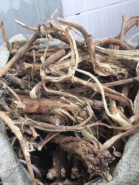 Астрагал перепончатый, корень фото 1