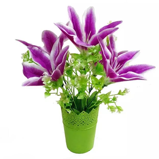 Цветы в горшке 5 лилий с зеленью фото 1