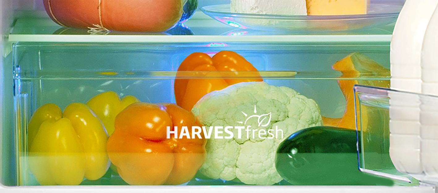 Холодильник Beko B3R0CNK312HG 2-хкамерн. серый фото 5