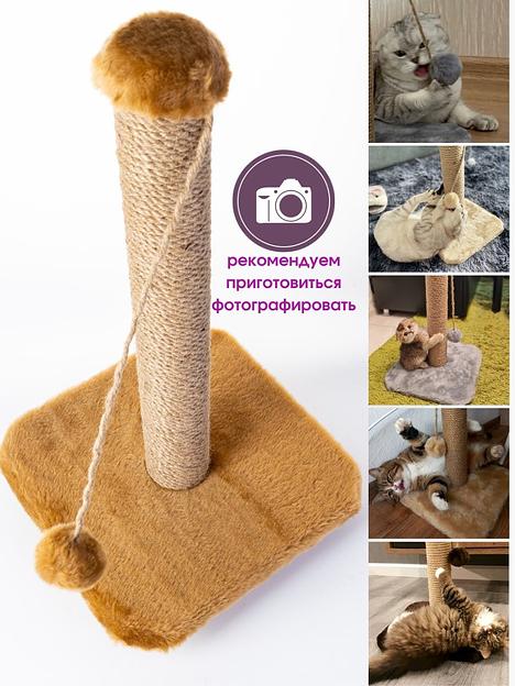 Когтеточка для кошки напольная коричневая ОПТ фото 3