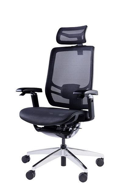 Премиум эргономичное кресло GT Chair InFlex X, черный фото 1