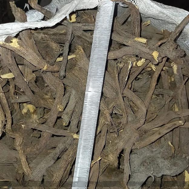 Солодка корень фото 1