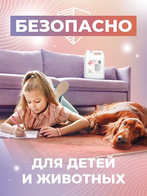 Антисептик BeAsepto Sol GIS 5 литров фото 4