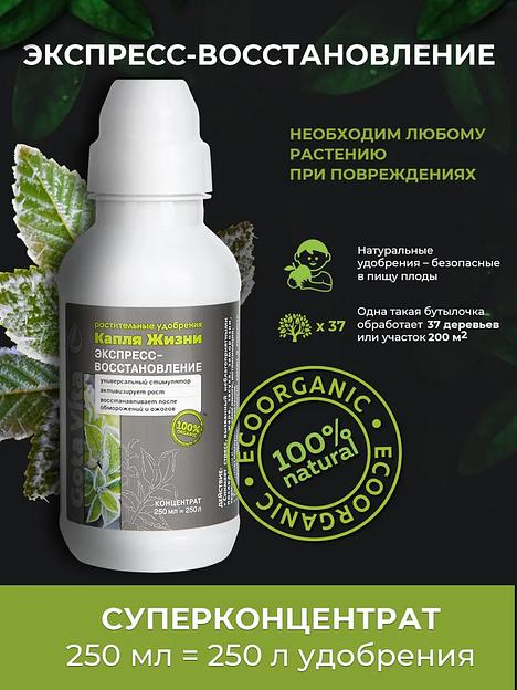 Экспресс восстановление 250 мл фото 2