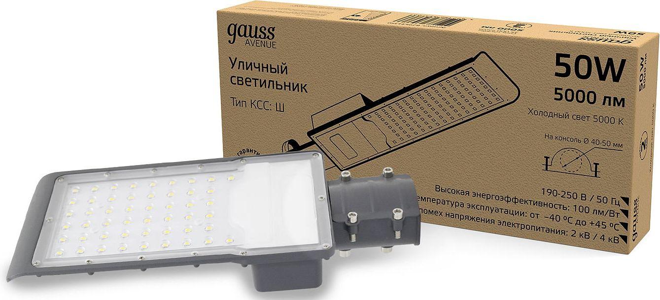 Светильник консольный Gauss 629534350 50Вт ламп.:50шт светодиод.лампа черный фото 1