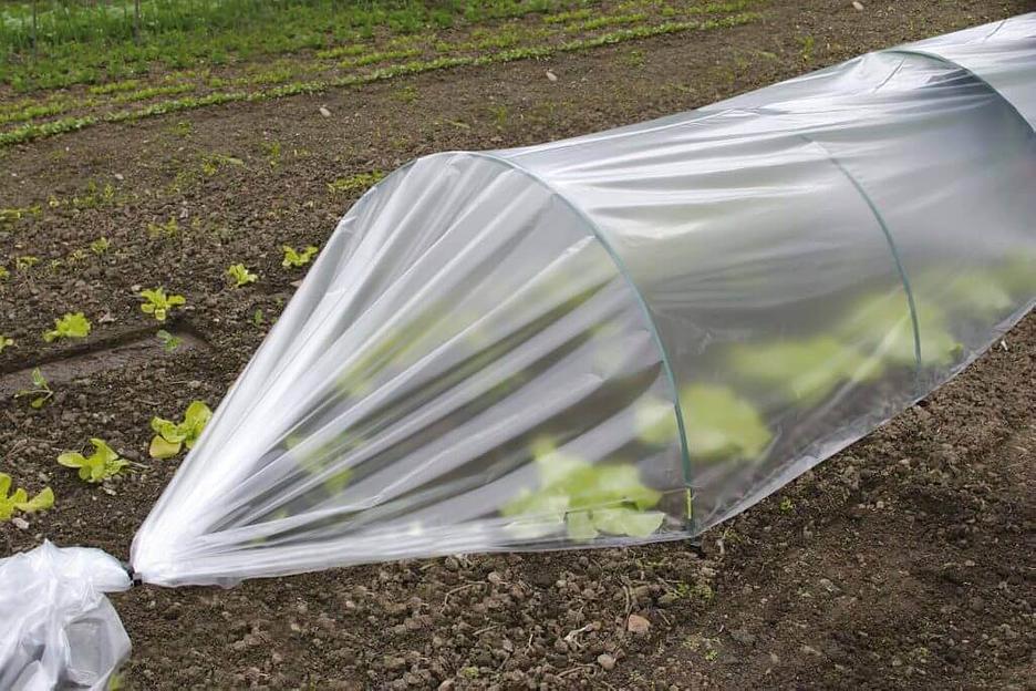 Пленка ПВД парниковая фото 1