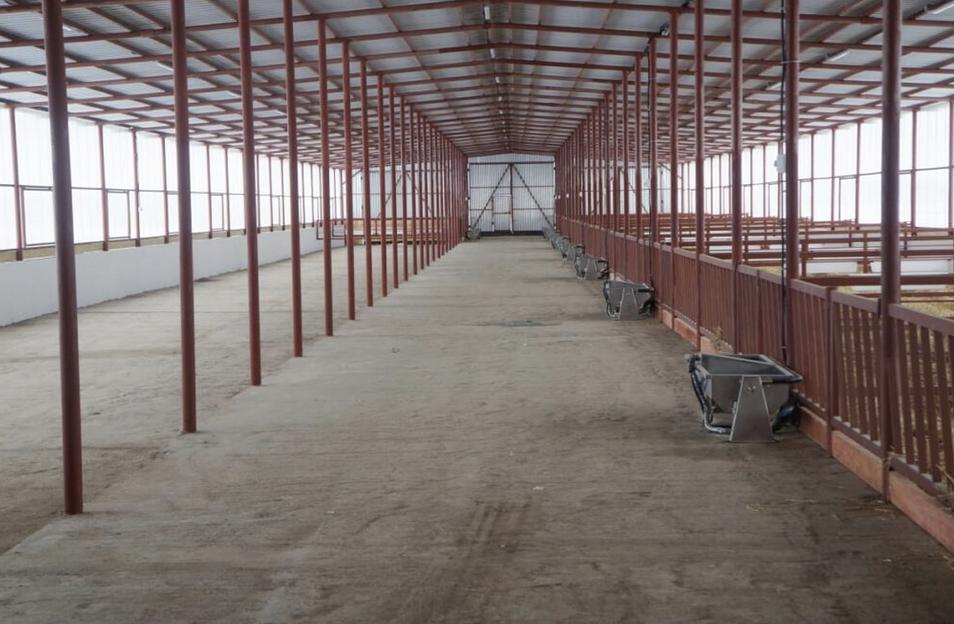 Услуга строительства современных телятников фото 4