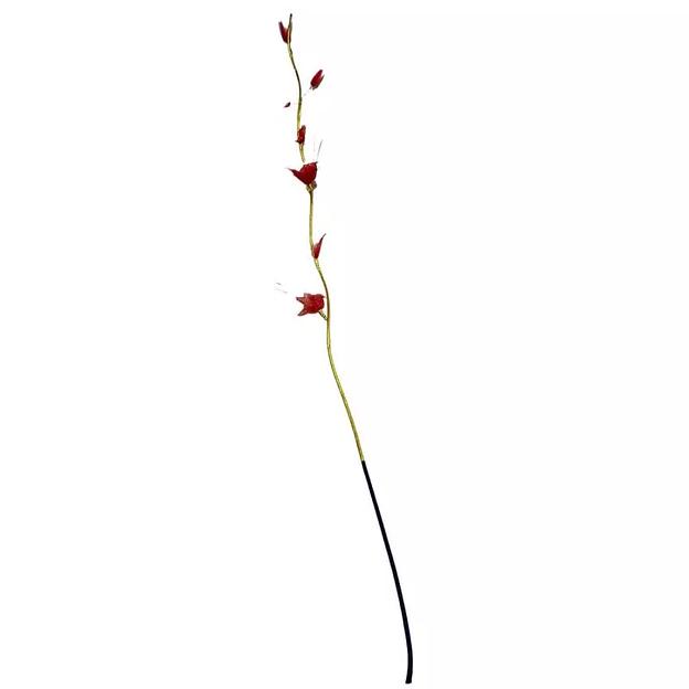 Сухоцвет ветка с капрон. цветками 897-5 (цена за ветку) 150см фото 6