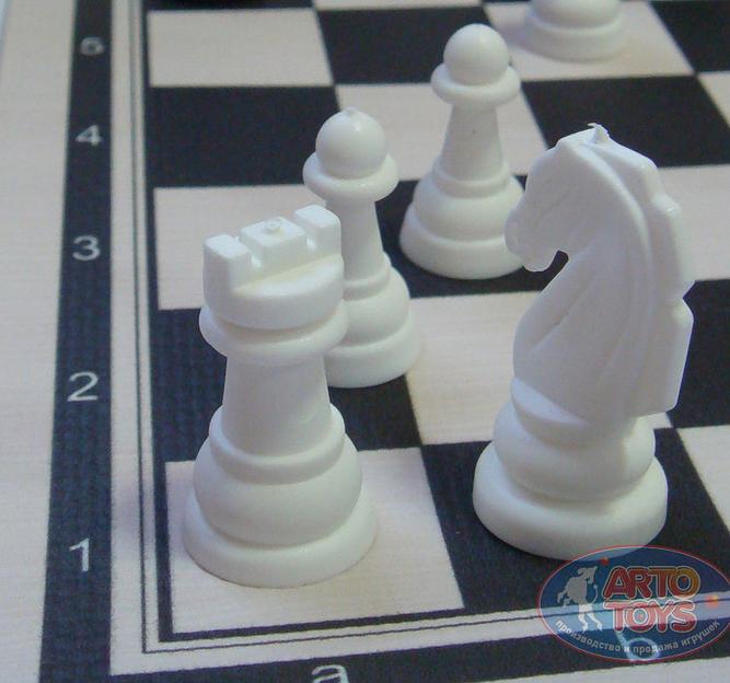 Шашки и шахматы 2в1 в тубусе ОПТ фото 4