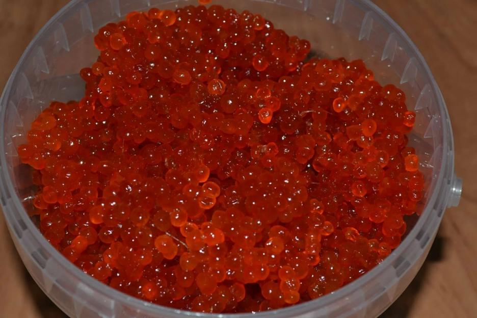 Икра Кижуча 2023 25кг ОПТ  фото 2