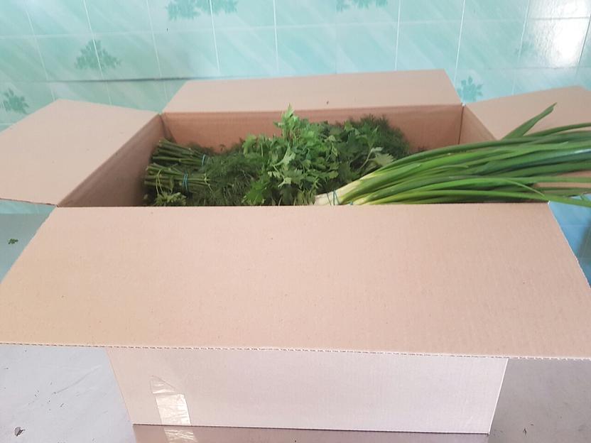 Зелень ассорти Alice Garden 50 г ОПТ фото 1