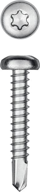 KRAFTOOL DS-P, 32 х 4.8 мм, А2, сверло, полукруглая головка, ТХ25, 250 шт, саморез нержавеющий (300931-48-032) фото 1