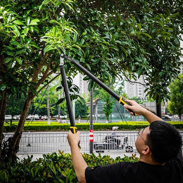 Набор сучкорез + секатор Deli DL580002 лезвия с тефлоновым покрытием, длина 75/21 см, макс. диаметр реза 30/15 мм, сталь 55С фото 10