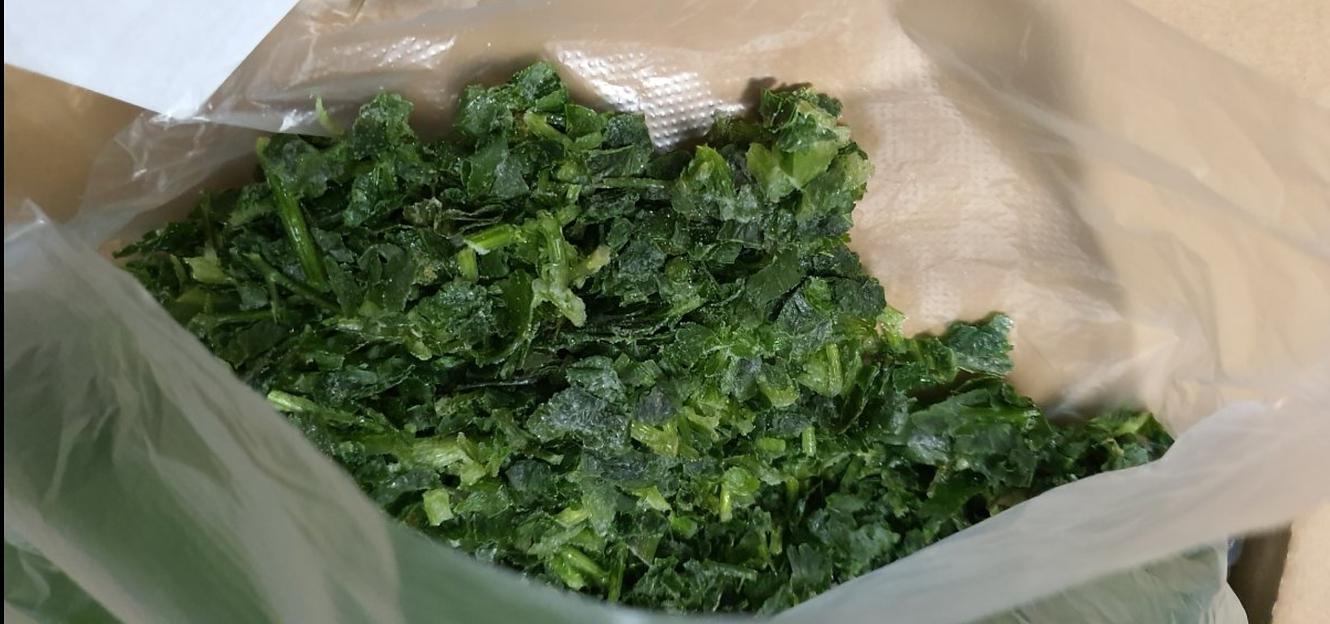 Кинза резанная замороженная Россия опт фото 2