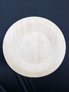 Тарелка для главных блюд одноразовая, круглая 230 мм фото 4