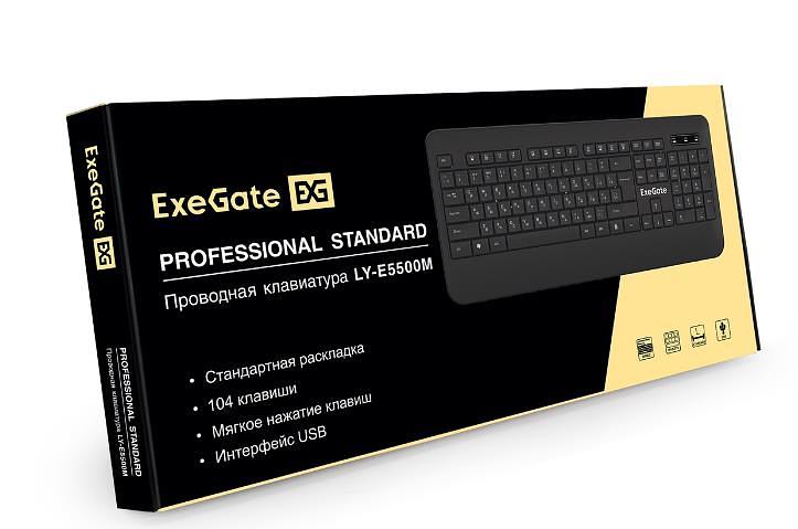 Клавиатура USB PROF STANDARD LY-E5500M EX296922RUS EXEGATE фото 5
