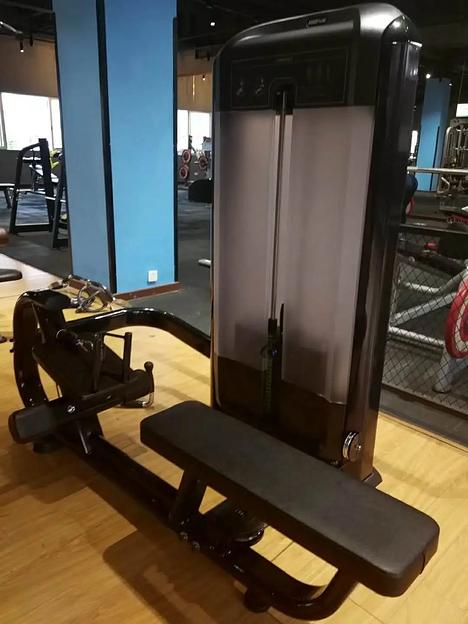 Горизонтальная тяга Insight Fitness TF09 фото 6