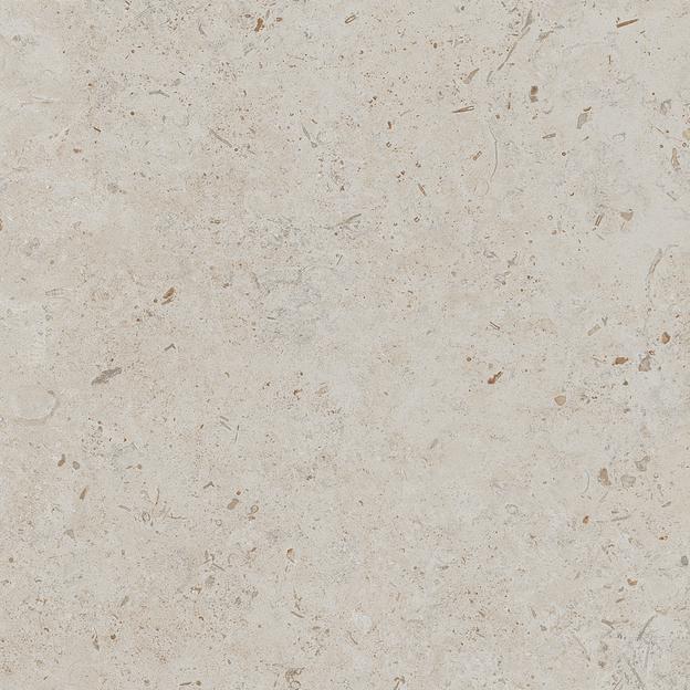 Керамогранит Kerama Marazzi Про Лаймстоун бежевый натуральный обрезной 600x600 фото 1
