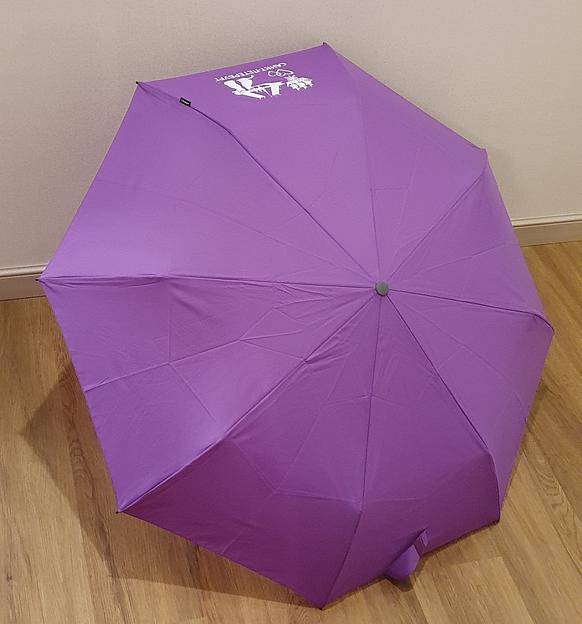 Зонт Knirps автомат E.200 Medium Duomatic PURPLE ECOREPEL (Санкт-Петербург) 95 1200 5500-лого фото 5