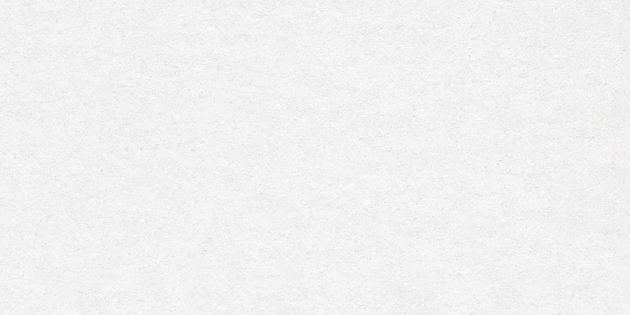 Керамогранит Delacora Absolute Ice 600x1200 фото 1