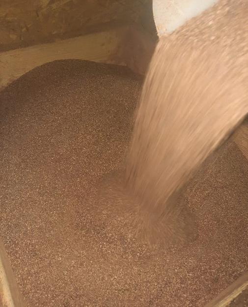 Дрожжи кормовые ГОСТ 20083-74 фото 1