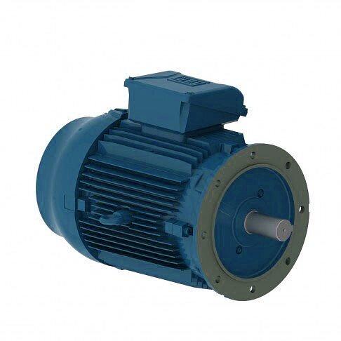 Электродвигатель W22 280S/M 4Р 75 кВт IM3081 380В/660В IP55 WEG IE1 фото 1