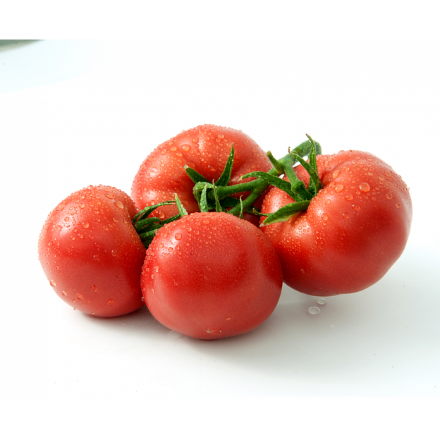 Семена томатов F1 «Пантера» опт фото 2