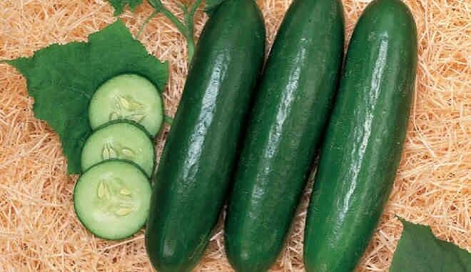 Семена МОРЕСЕМЯН Огурец «Зена F1» (Sakata) фото 2