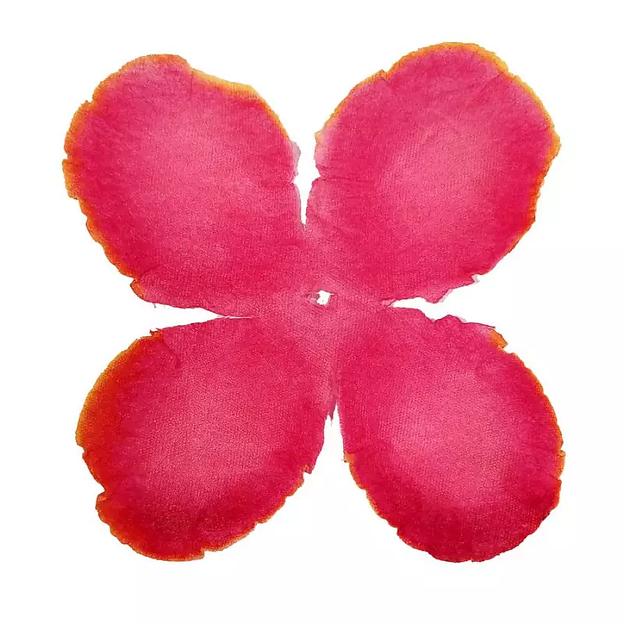 Заг-ка для розы YZ-19 бордовой с жёлт.кантом 4-кон. малый кругл. 8-9,3см 3247шт/кг фото 1