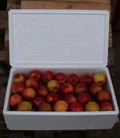 Оборудование для термоконтейнеров и термоящиков фото 3