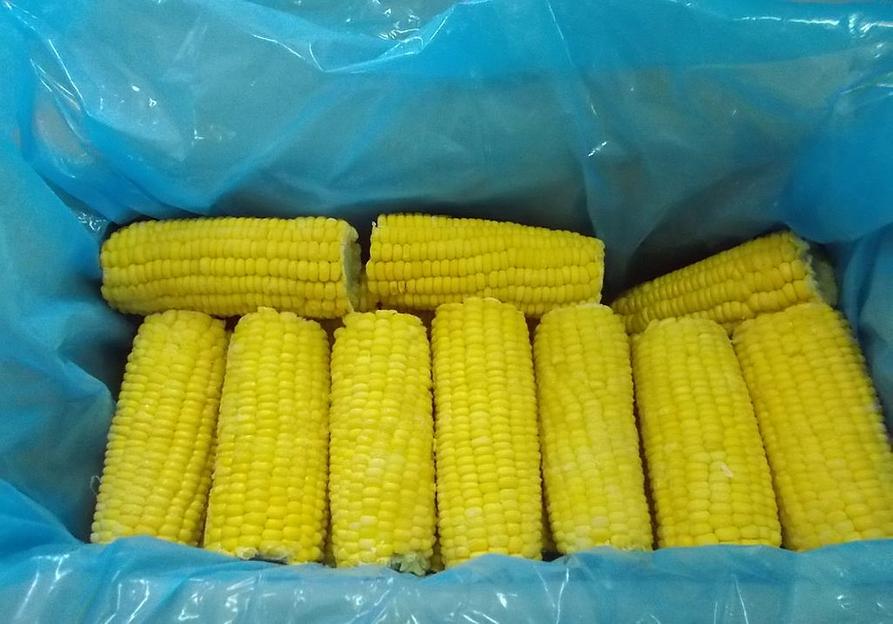 Кукуруза початок «Глобал Фрост» замороженная  фото 1