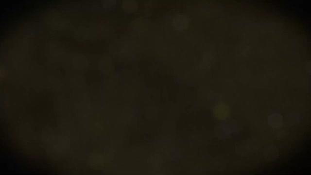 Фаршемешалка вакуумная ДВАК М-200В фото 10