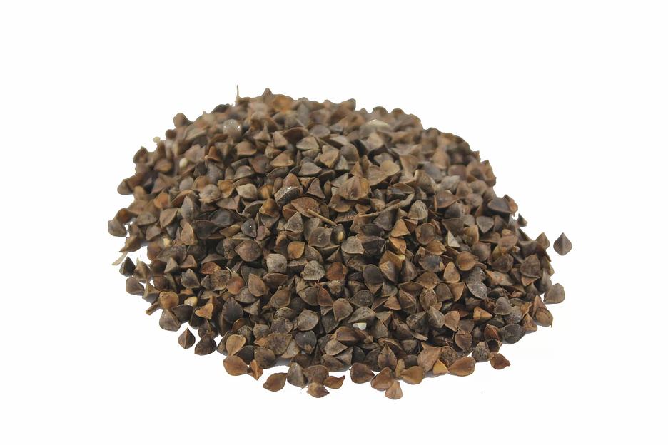 Семена гречихи продовольственной ОПТ фото 2