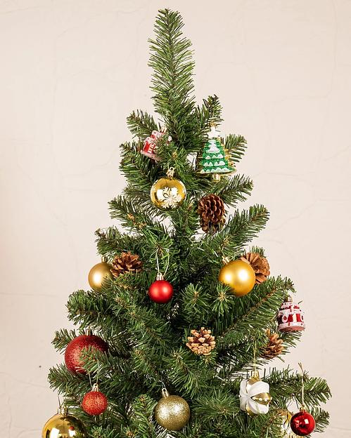 Ель с шишками «Симфония» опт фото 8