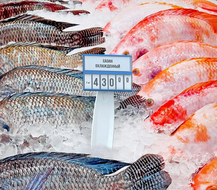 Держатель кассет цен ДЕЛИ в лёд PC-DELI-ICE-SET фото 1