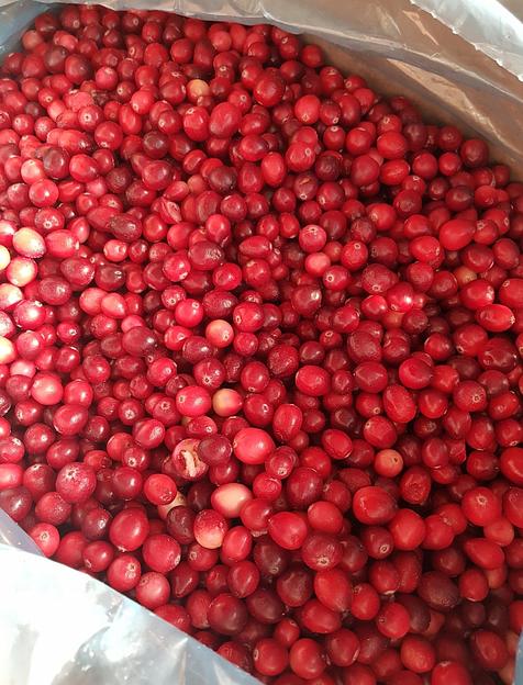 Клюква замороженная садовая А класса опт фото 1